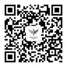 DB�羺 Vision Plus Capital