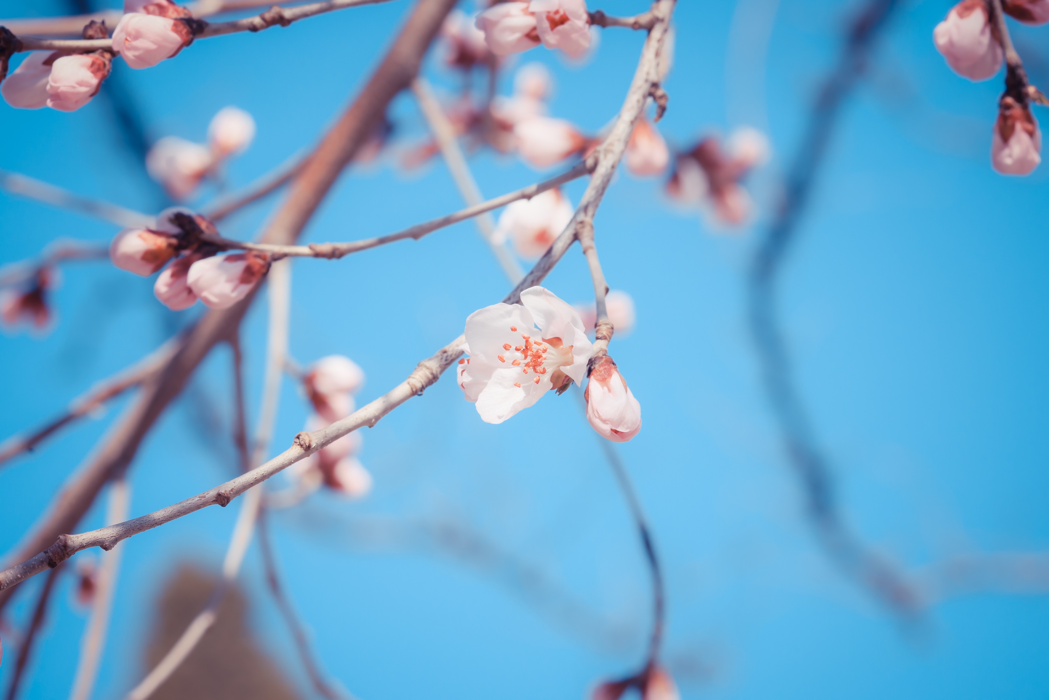 DB电竞·(中国区)官方网站